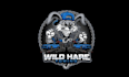 design custom tow company logo with a wild hare rowing