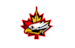 design hockey team jersey logo