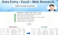 data entry web research excel admin