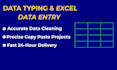 do expert data entry clean up excel spreadsheets and bookkeeping