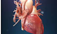 create a professional 3d medical animation video