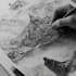 draw your fantasy character illustration