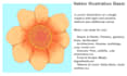 draw illustrations, drawings, vektor illustrations