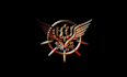 create professional fantasy gaming guild logo