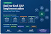 provide expert erp consulting, implementation, and business process optimization