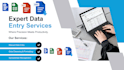 do professional data entry, web research and excel data cleaning