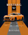 create professional posters and promotional banners