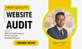professional website audit with SEO