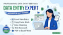 do professional  data entry and microsoft office tasks