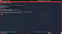 do professional web vulnerability scanning and pen testing