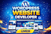 design redesign wordpress website for your business