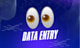 enter 10k data for you