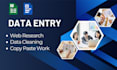do expert data entry and web research