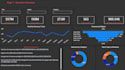 do business analysis and visualization for you