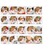 make you live streaming emotes