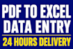 do fast data entry excel typing pdf to excel