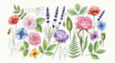 paint watercolor flowers and botanical illustrations