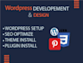 wordpress website design and development expert