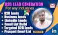 provide targeted b2b lead generation and web research