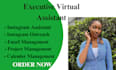 be executive virtual assistant personal virtual assistant canva social media VA