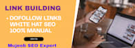 provide link insertion and niche edit backlinks