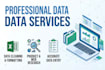 do professional data cleaning, excel data entry