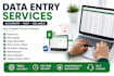 be your reliable data entry and excel assistant