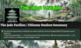 design professional notion template or workspace