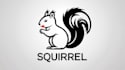 design eye catchy squirrel mascot logo in express delivery