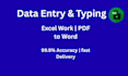 do fast manual data entry typing and excel work