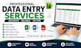 do accurate data entry, copy typing, and excel work