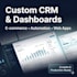 develop custom saas, CRM, erp and web applications