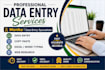 do data entry, copy paste, typing, and web research
