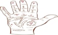 do professional palm reading and detailed palmistry analysis
