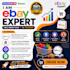 provide complete ebay management services