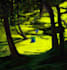 paint beautiful pokemon art