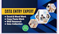 do multilingual data entry web research, excel data cleaning