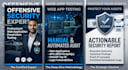 perform web application and API penetration testing