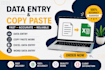 do data entry and copy paste work