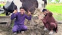do happy birthday video