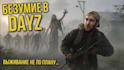 build custom mods for dayz server setup coding scripting and bug fix for dayz