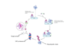 professional editing for genetics research manuscripts