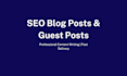write SEO blog posts and guest posts for your website