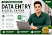 provide professional data entry and excel services