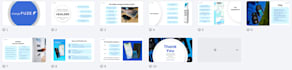 create a professional canva presentation