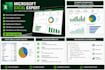 provide microsoft excel and advanced excel services