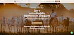 build modern high conversion landing page