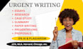 do your assignment, project work, essay writing for college and university