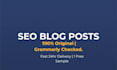 write SEO blog posts