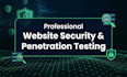 perform website security and penetration testing